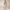 Rimora Cork | Classy Sleeveless Jumpsuit with Waist Tie – Summer & Evening Look