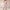 Rimora Cork | Elegant Wide-Leg Jumpsuit for Women – One-Piece - Dressy Day-to-Night Look