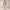 Rimora Cork | Classy Sleeveless Jumpsuit with Waist Tie – Summer & Evening Look