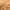 Rimora Cork | Happy Coat