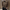 Rimora Cork | Faux Leather Jacket.