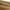 Rimora Cork | Men Chic Teddy Jacket