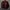Rimora Cork | Baseball jacket