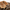 Rimora Cork | Suede Leather Coat