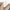 Rimora Cork | Cashmere V- Neck Pullover