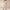 Rimora Cork | Elegant Wide-Leg Jumpsuit for Women – One-Piece - Dressy Day-to-Night Look