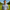 Rimora Cork | Smart Casual Summer Shirt – Old Money Preppy Stripe Design