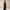 Rimora Cork | Elegant Sleeveless Midi Dress – Figure-Flattering Fit - Party Dress