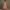 Rimora Cork | Women Summer Sleeveless Striped Maxi Dress