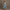 Rimora Cork | Women's 2025 Summer Short Sleeves Boho Floral Print Casual Long Maxi Dress