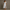 Rimora Cork | Boho Dress for Women Open Front Flower Cut Dresses for Women
