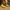 Rimora Cork | Barefoot Shoes, Prio Orignal Barefoot Cross Trainer, Lightweight, Zero Drop Sole
