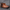 Rimora Cork | Chelsea Boots