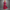 Rimora Cork | Elegant Floral Midi Dress – Wrinkle Free Comfort