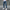 Rimora Cork | Casual Cargo Pants