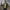 Rimora Cork | Classic Bomber Jacket – Lightweight Zip-Up Windbreaker