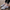 Rimora Cork  Slip-On Walking Shoes – Lightweight & Versatile
