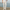 Rimora Cork  | Linen Pants Warm Weather